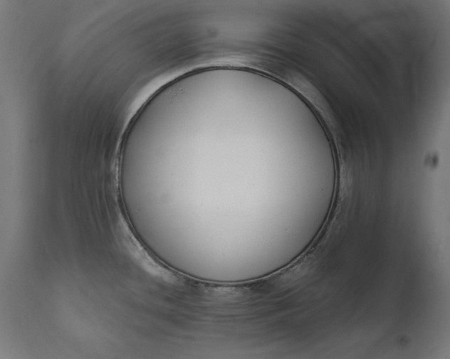 X0000111481436200907281152