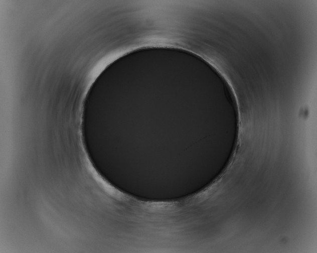 X0000111481437200907281152
