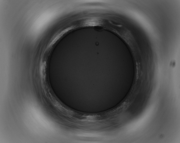 X0000111481438200907281152