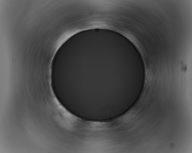 X0000111481439200907281152