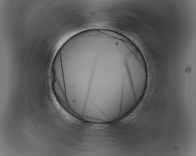 X0000111481440200907281152