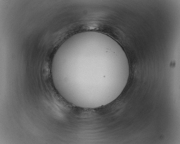 X0000111481442200907281151