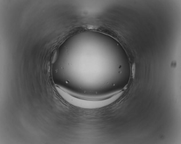 X0000111481443200907281151