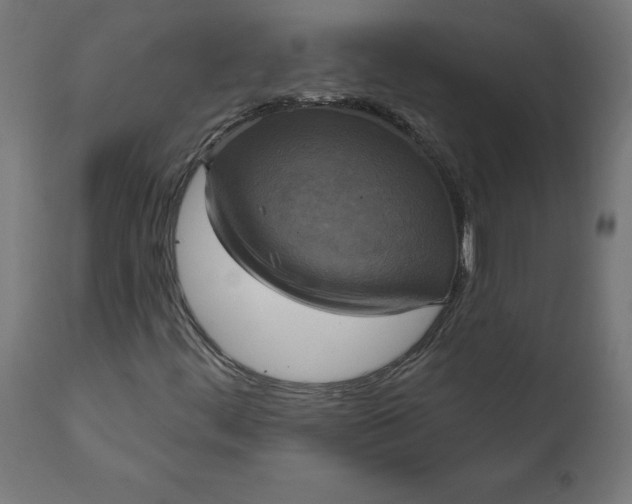 X0000111481444200907281151