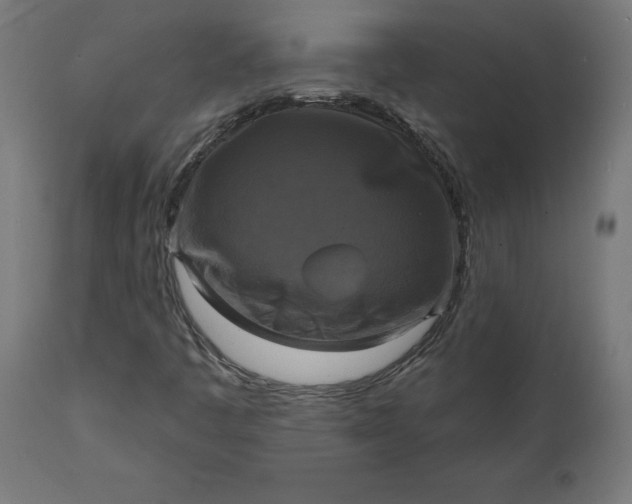 X0000111481445200907281151