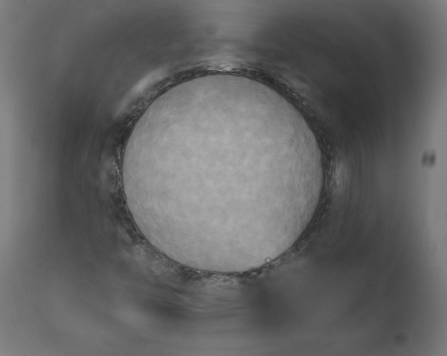 X0000111481446200907281151
