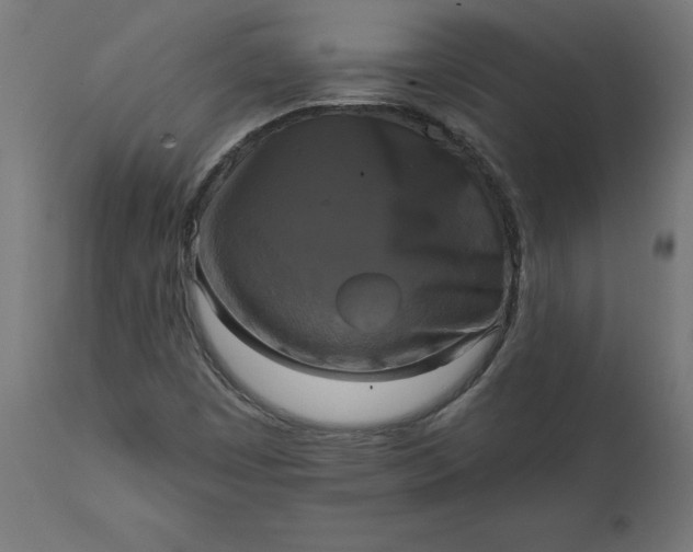 X0000111481449200907281151