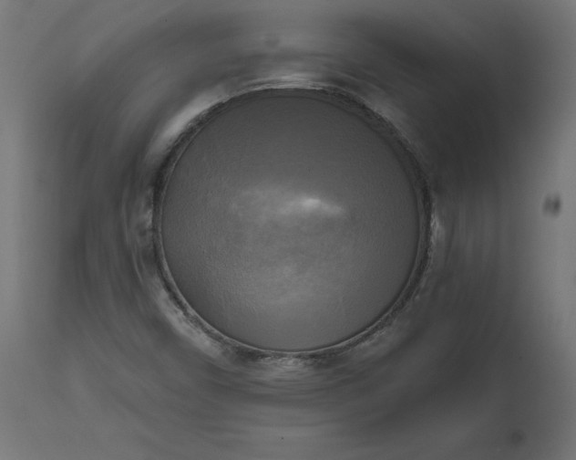 X0000111481450200907281151