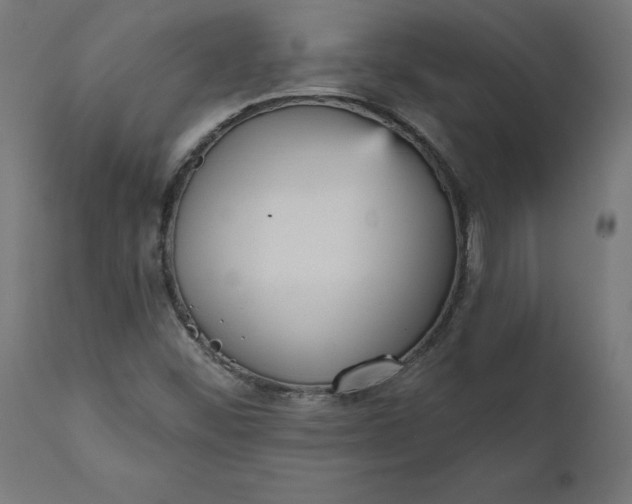 X0000111481452200907281151