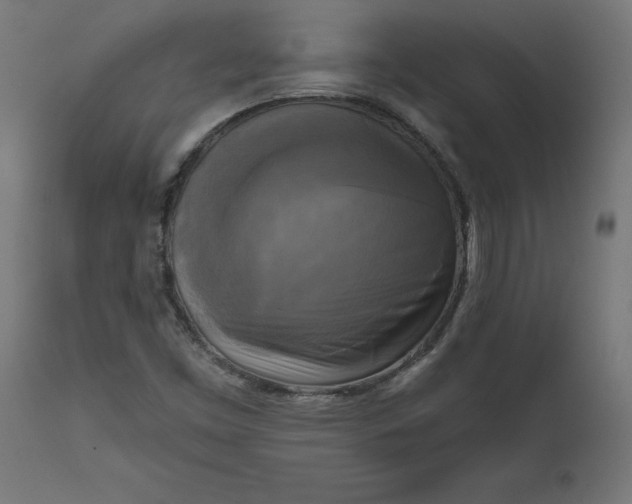 X0000111481453200907281151