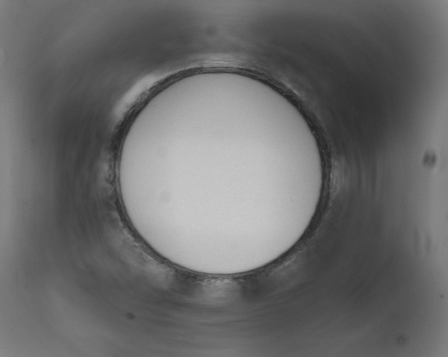 X0000111481454200907281151