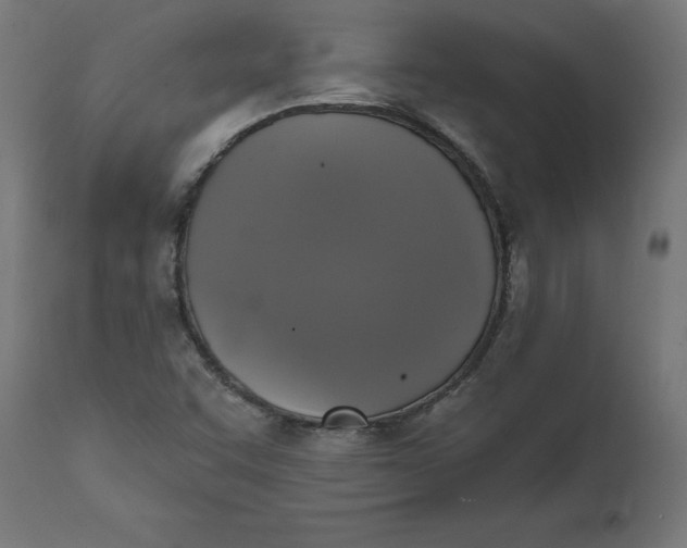 X0000111481455200907281151