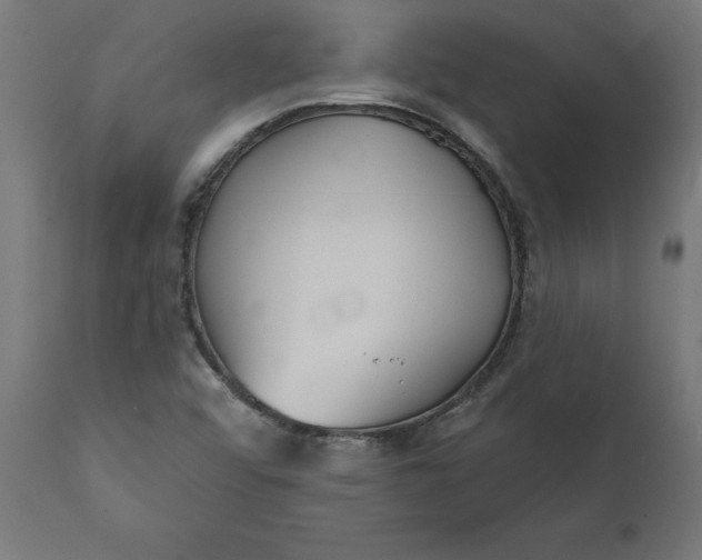 X0000111481456200907281151