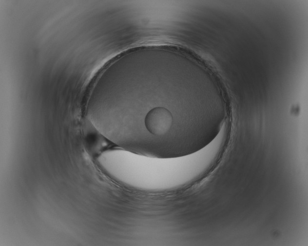 X0000111481457200907281151