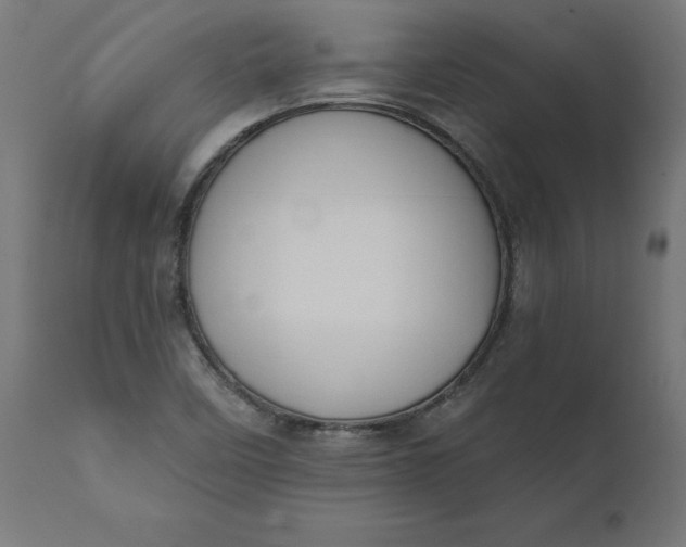 X0000111481458200907281151