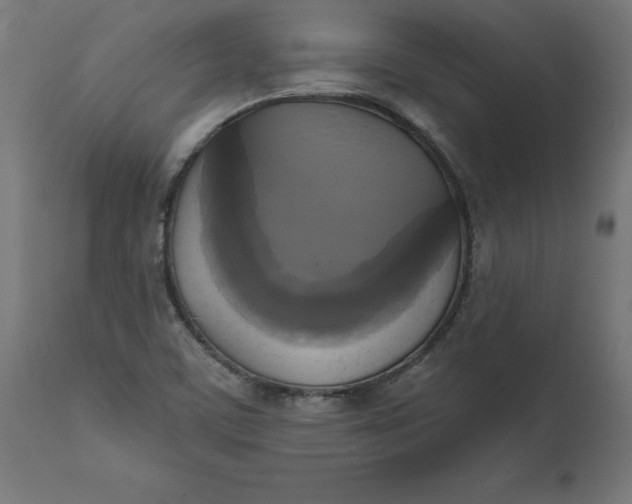 X0000111481459200907281151