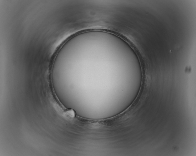 X0000111481460200907281151