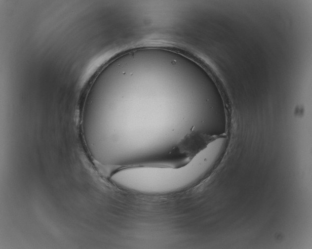 X0000111481461200907281151