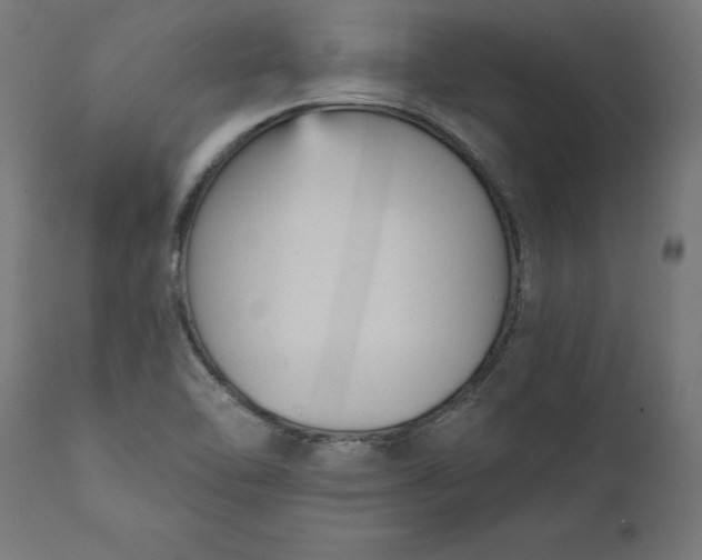 X0000111481462200907281151