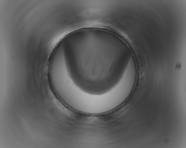 X0000111481463200907281151