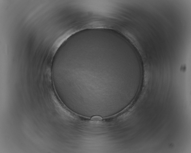 X0000111481465200907281151