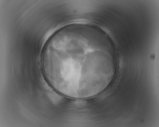 X0000111481466200907281151