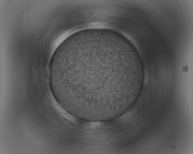 X0000111481467200907281151