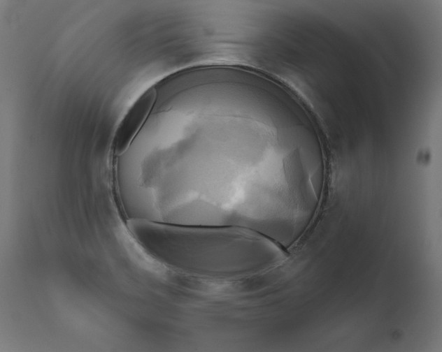 X0000111481468200907281151