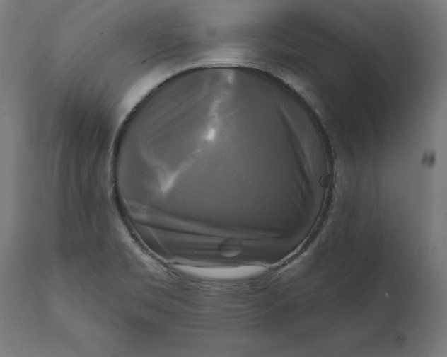 X0000111481469200907281151