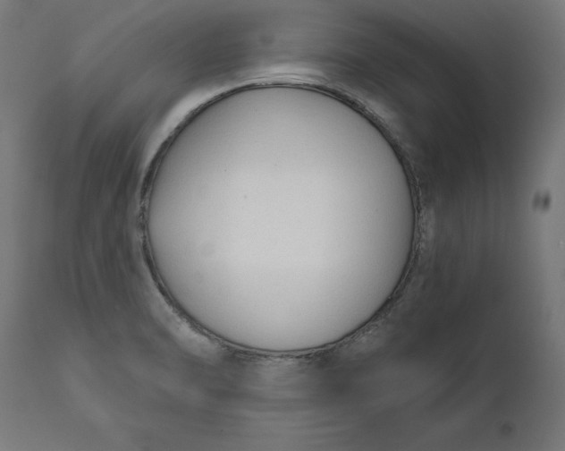 X0000111481470200907281151