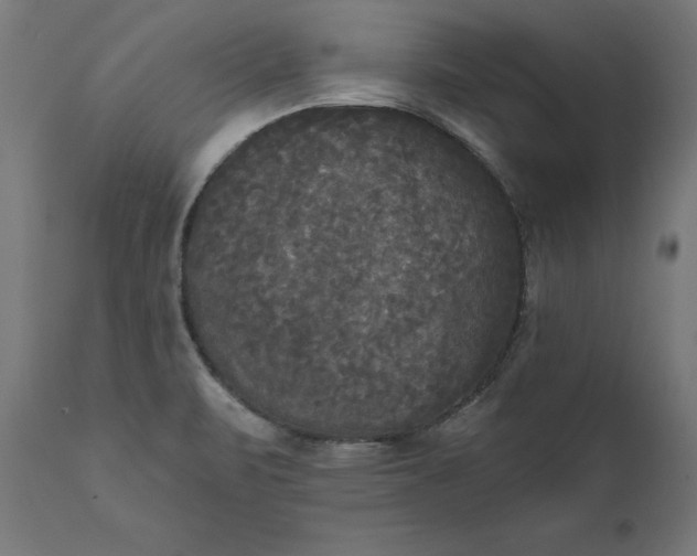 X0000111481471200907281151