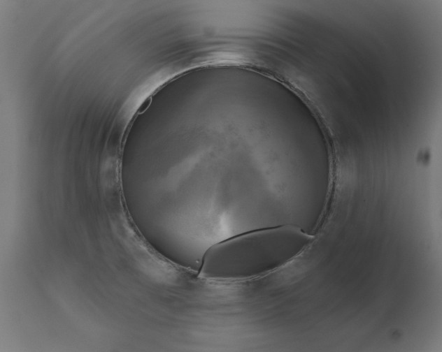 X0000111481473200907281151