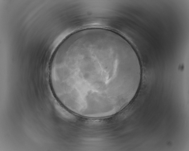X0000111481474200907281151