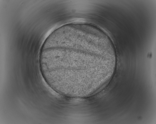 X0000111481475200907281151