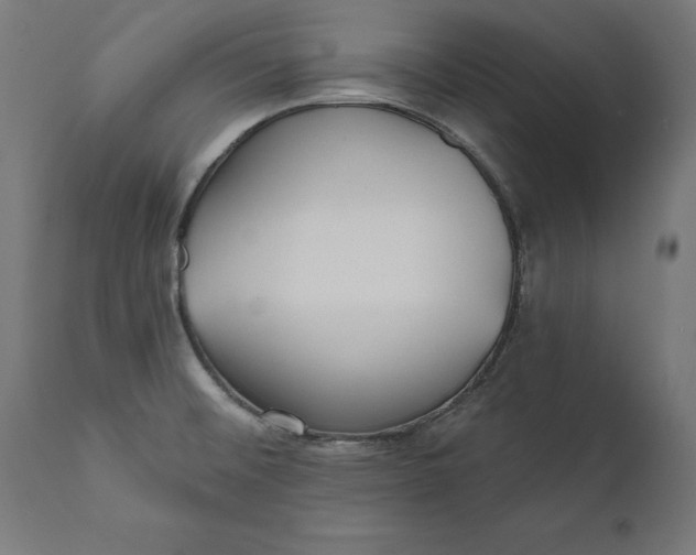 X0000111481476200907281151