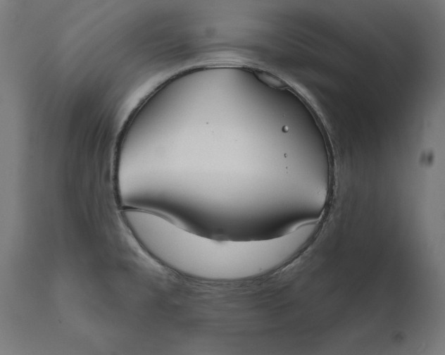 X0000111481477200907281151