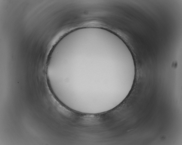 X0000111481478200907281151