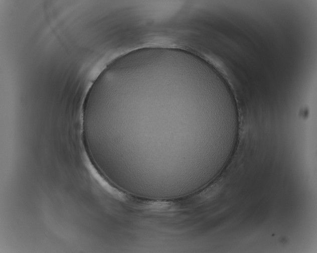 X0000111481479200907281151