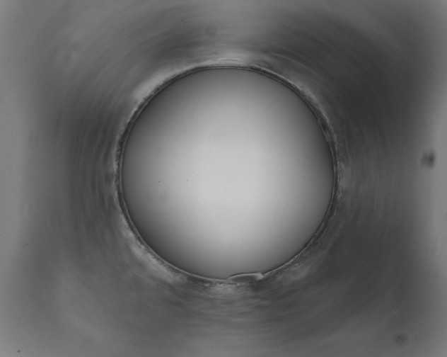 X0000111481480200907281151