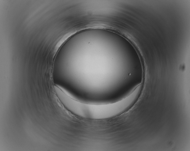 X0000111481481200907281151