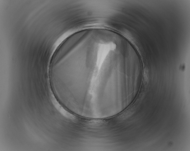 X0000111481482200907281151