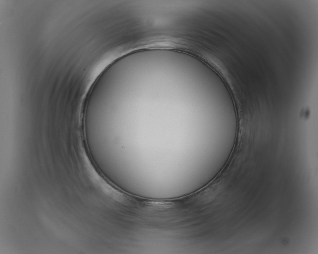 X0000111481483200907281151