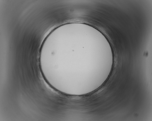 X0000111481484200907281151