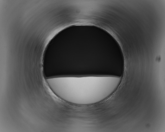 X0000111481485200907281151