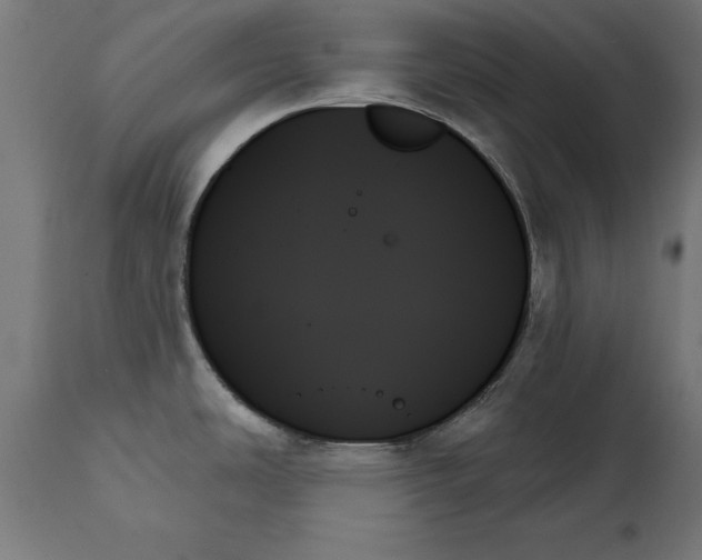 X0000111481486200907281151