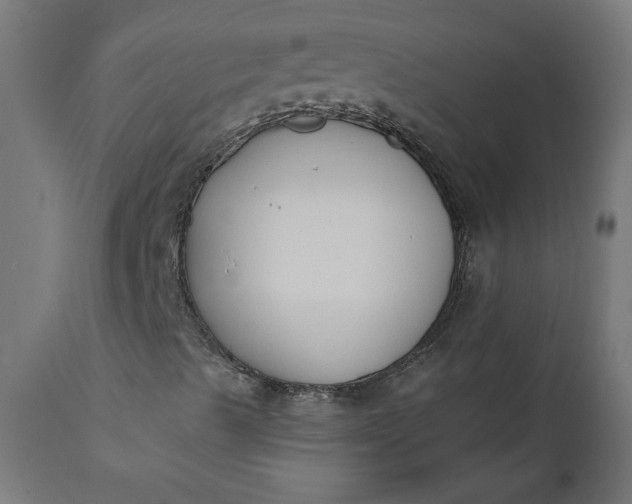 X0000111481489200907281150