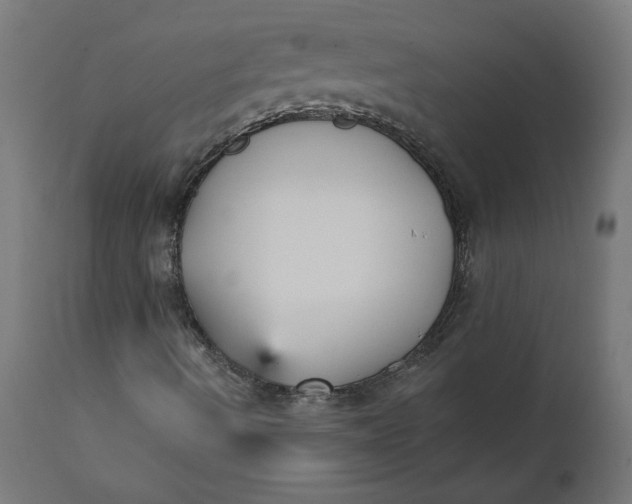 X0000111481490200907281150