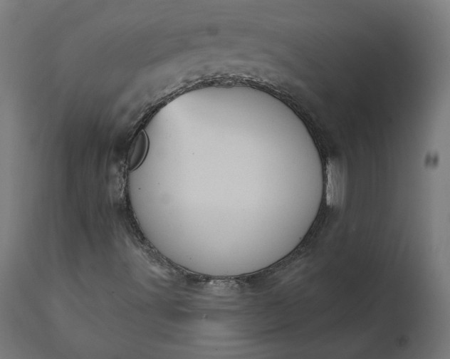 X0000111481491200907281150