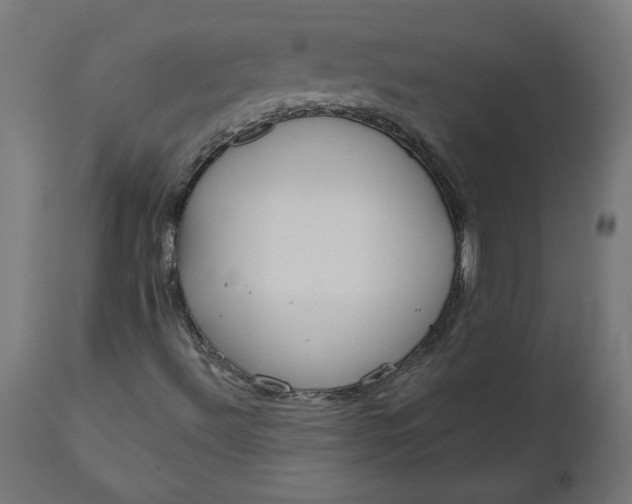 X0000111481492200907281150