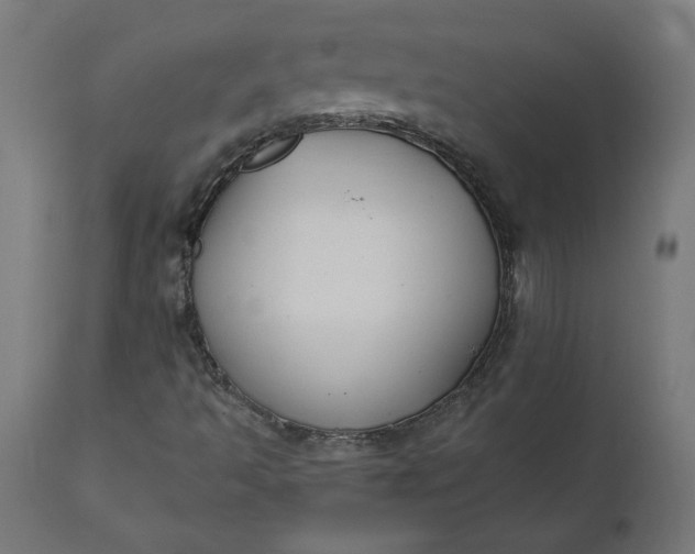 X0000111481493200907281150